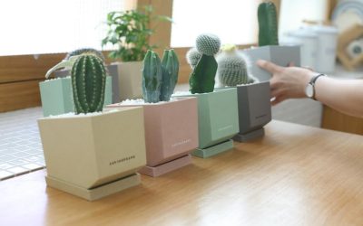 소통하는 디자인